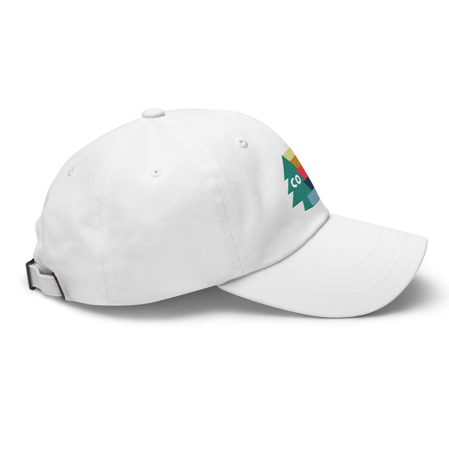 CO Evergreen Baseball Hat